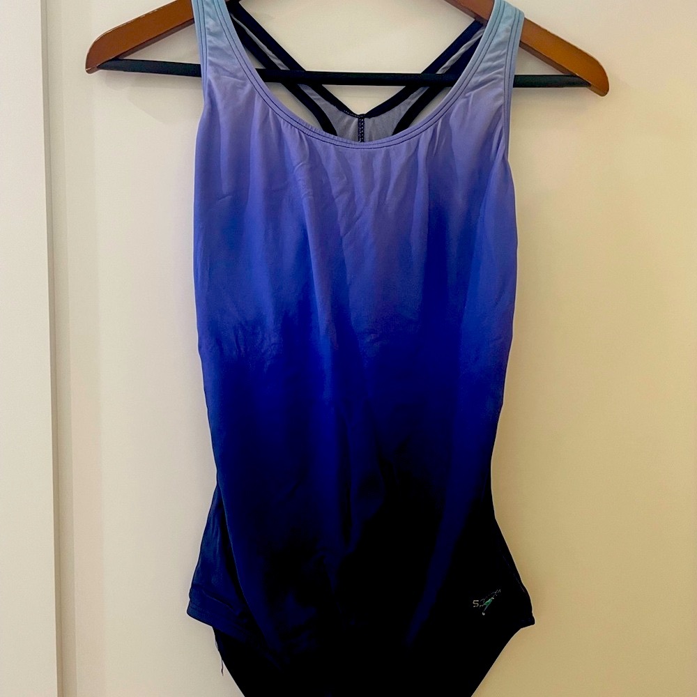 Speedo Gradient Blue to Black One Piece Swimsuit